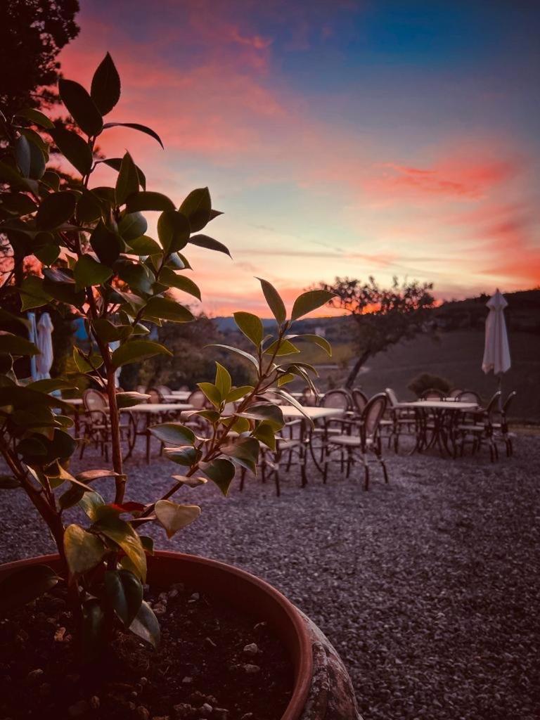 Locanda Podere Le Vigne Radda in Chianti Exterior photo